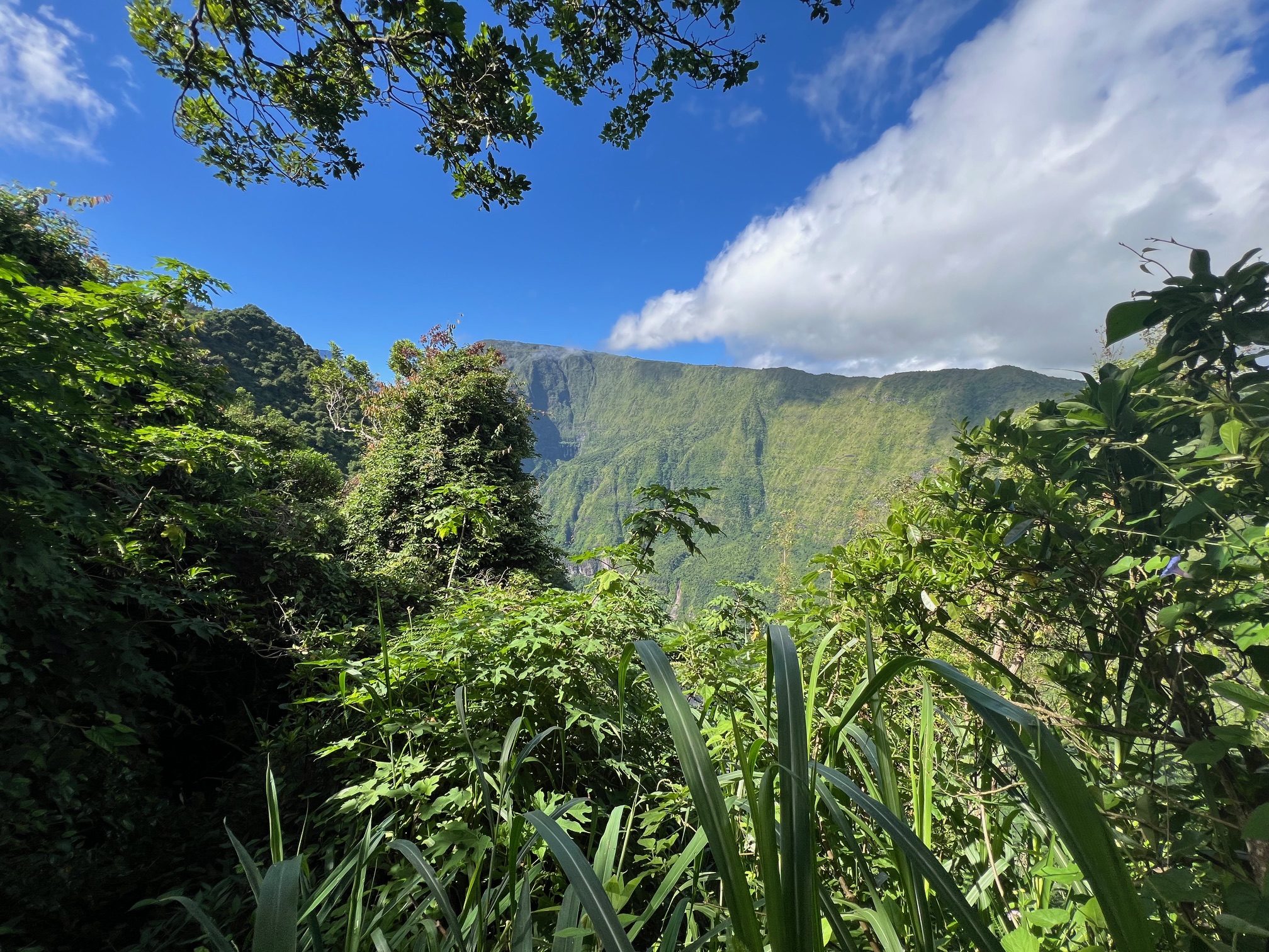 Hikerův sen: RÉUNION – přechod od severu k jihu