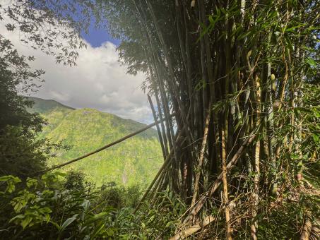 RÉUNION – přechod od severu k jihu