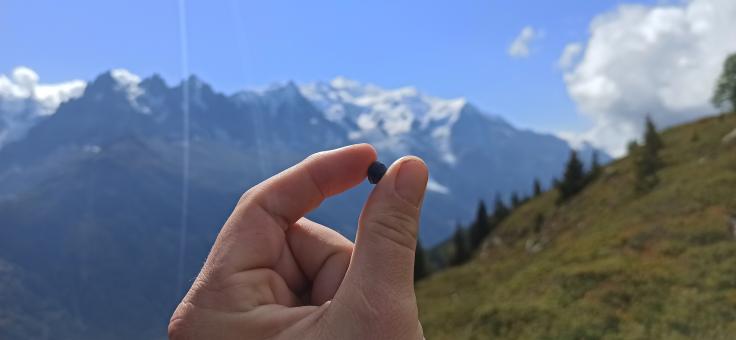 Tour du Mont Blanc