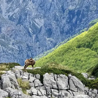 Explorito jde na cesty jinak 5